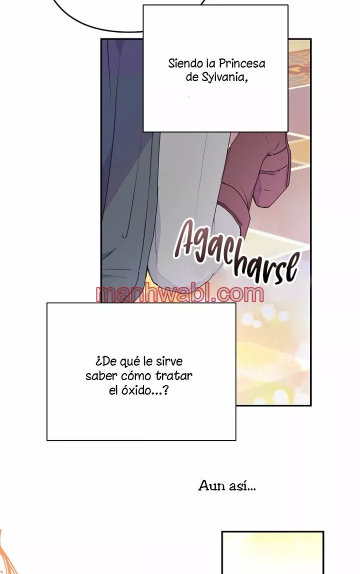 Olvídate De Mi Esposo Iré A Ganar Dinero - Capítulo 24_2 manhwa