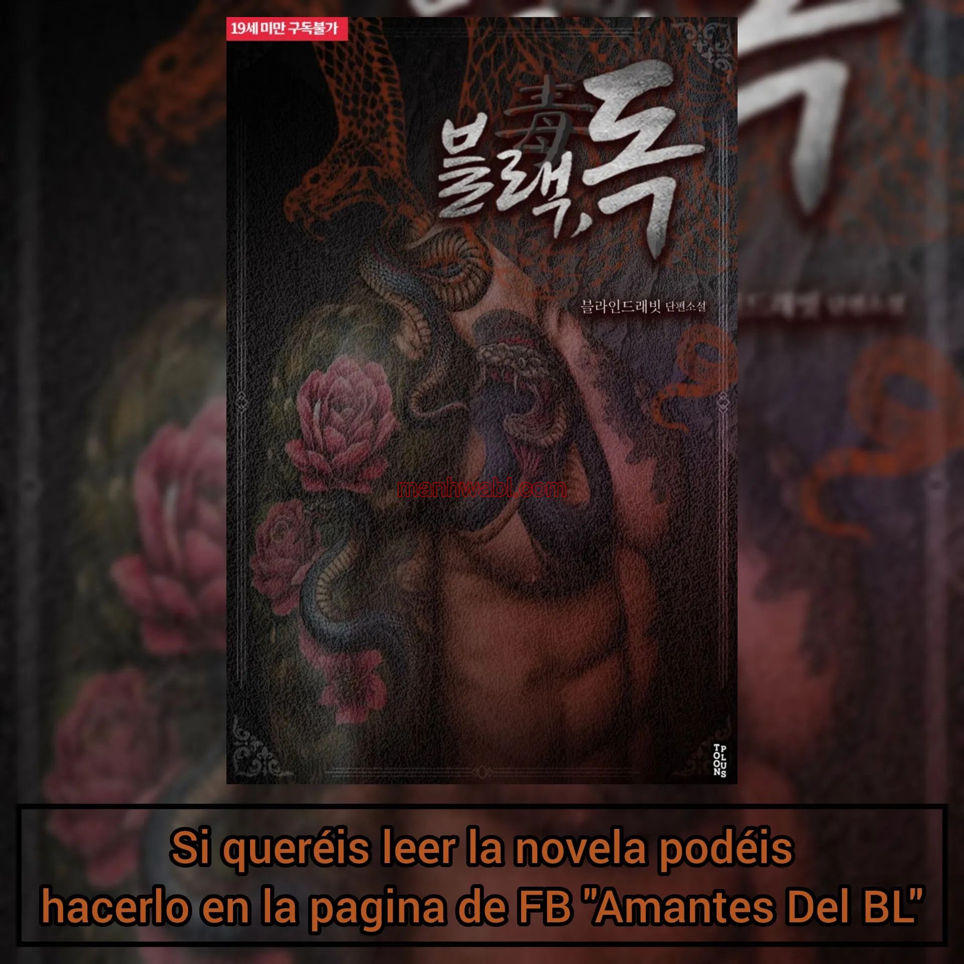 Veneno Negro - Capítulo 4_3 manhwa