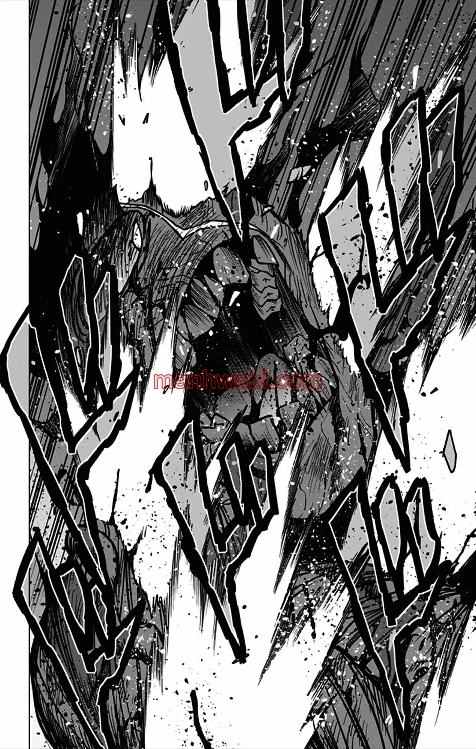 Vigilante: Boku no Hero Academia Illegals - Capítulo 111_2 manhwa